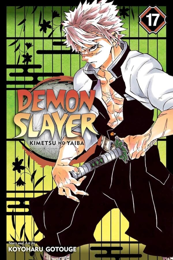 MANGA DEMON SLAYER Vol. 17 (Demon Slayer Volume.17: Kimetsu no Yaiba)